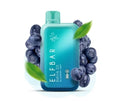 ELF BAR RAYA D1 – Blueberry Mint - Vape Shop Delhi