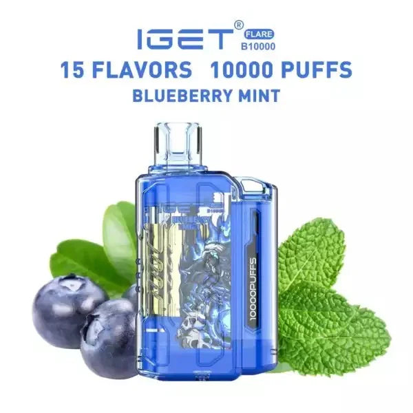 IGET FLARE B10000 – Blueberry Mint - Vape Shop Delhi